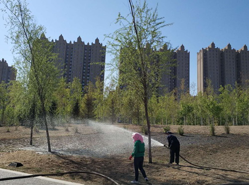 Z6·尊龙凯时「中国」官方网站