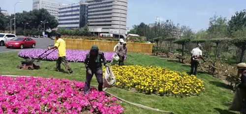 Z6·尊龙凯时「中国」官方网站