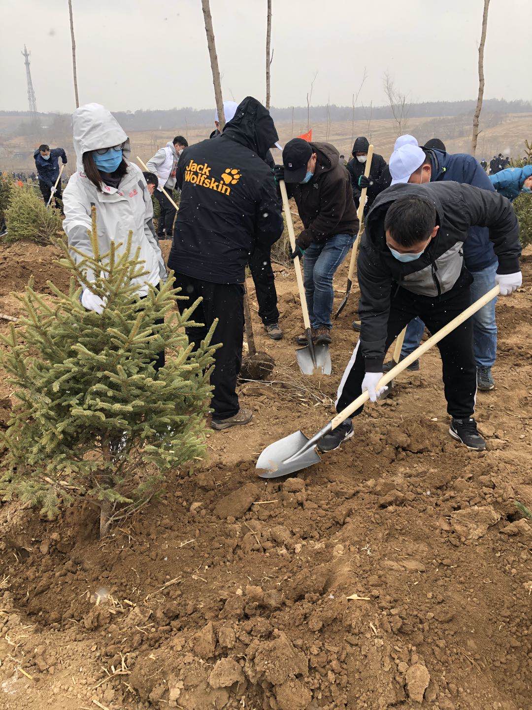 Z6·尊龙凯时「中国」官方网站